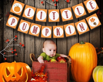 Little Pumpkin Banner Printable: Autumn banner Download - Baby Shower, First Birthday, Fall Party