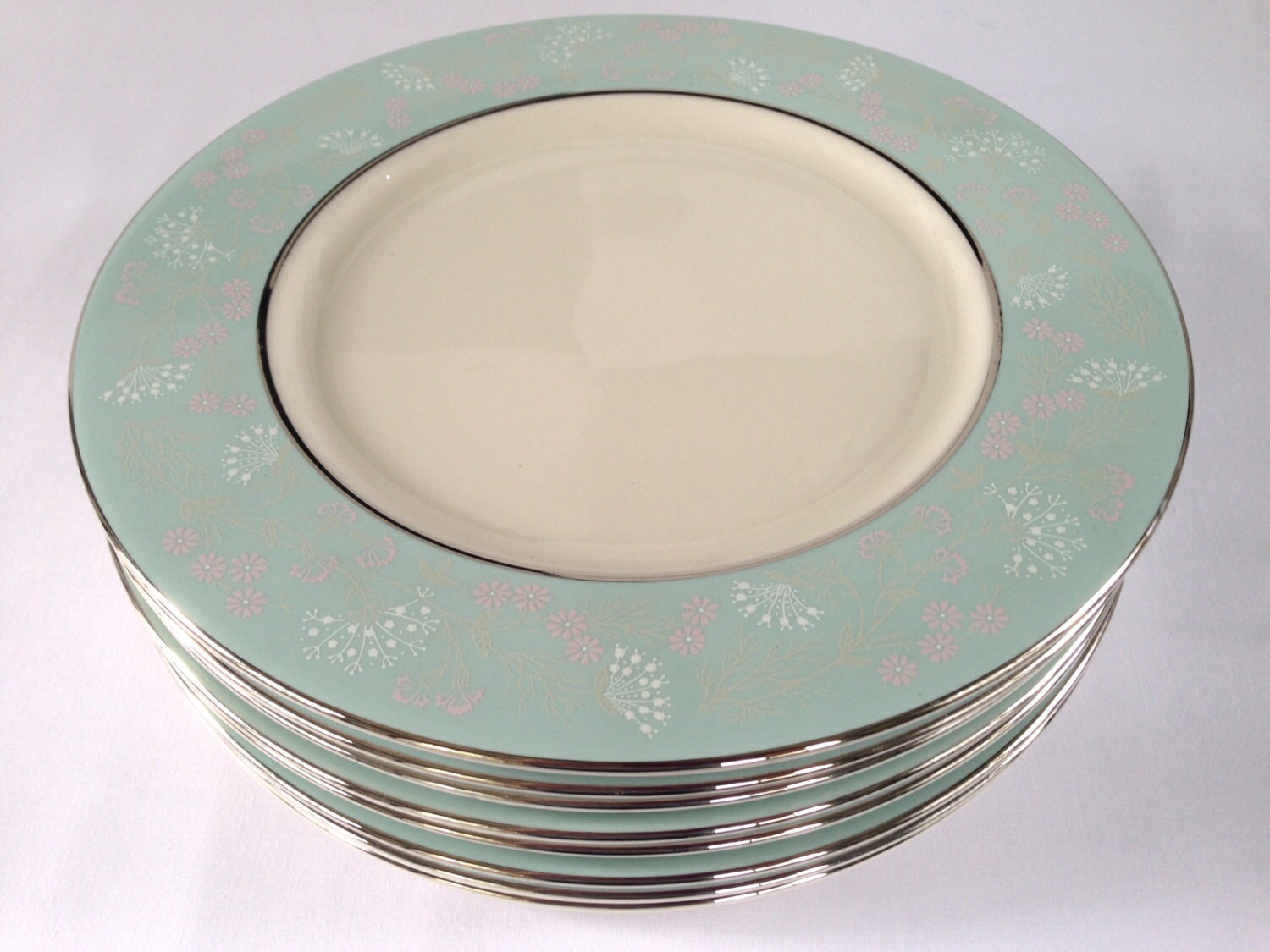 Castleton China Corsage Pattern Dinner Plates