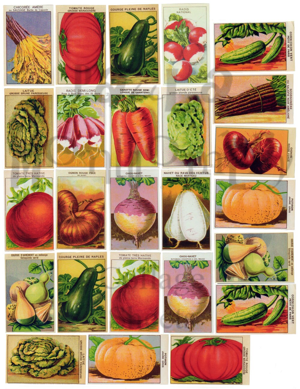 Vintage French Vegetable Seed Packets Number 1 Digital