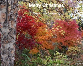 Items similar to Merry Christmas 2013 - 5x7 Digital Photo Christmas Card. on Etsy