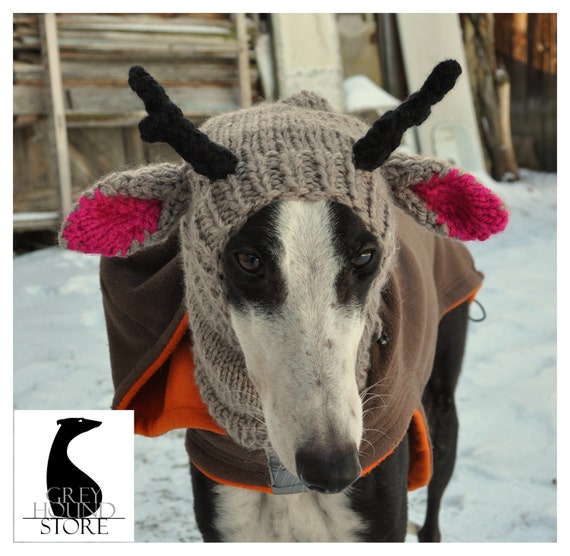 REINDEER HAT for greyhound/galgo/lurcher by Greyhoundstore on Etsy