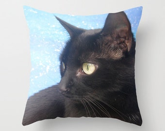 black cat pillow pet