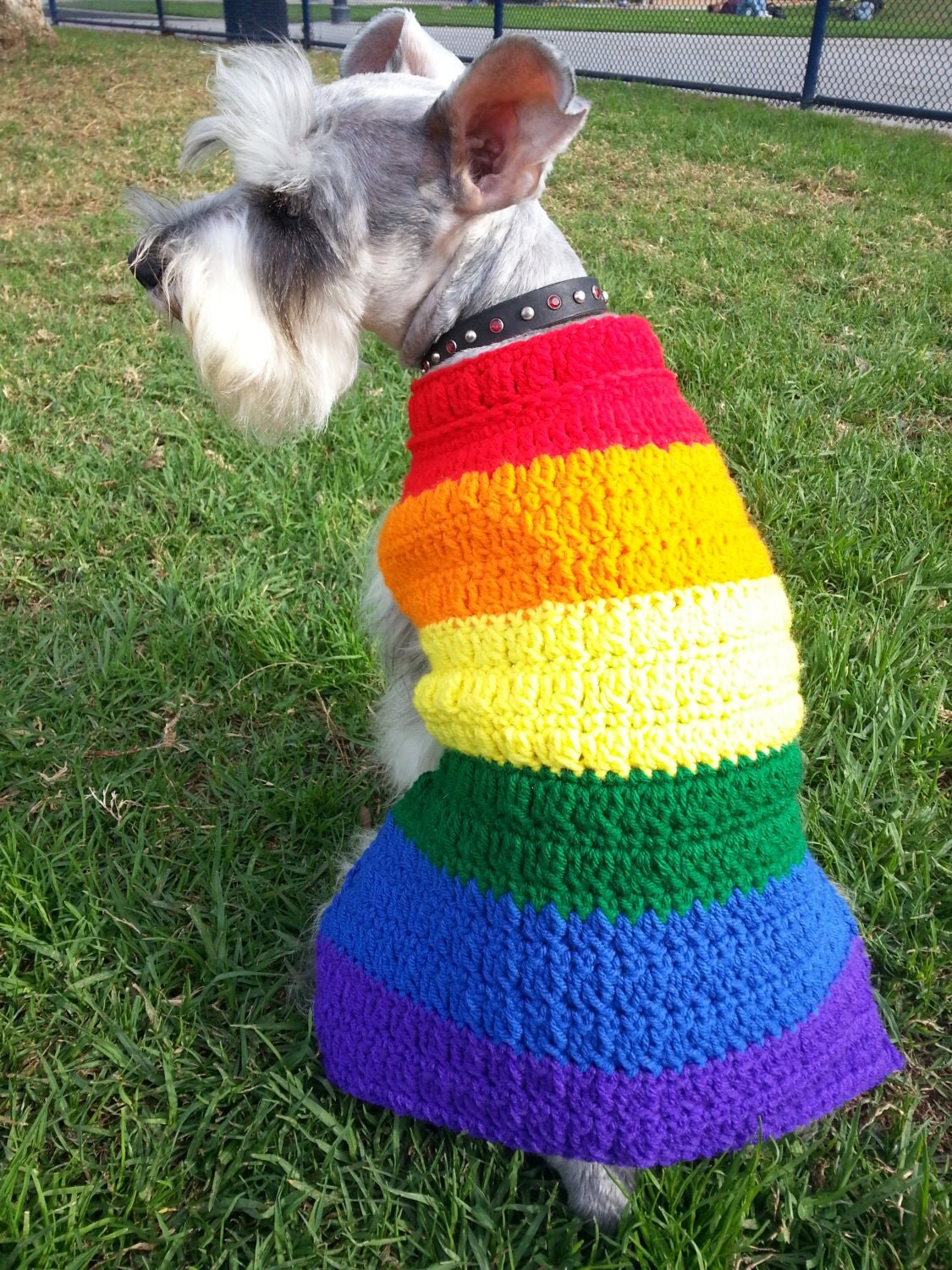 PR.100 Comfy Cozy Rainbow Dog Sweater by Kiddowear on Etsy