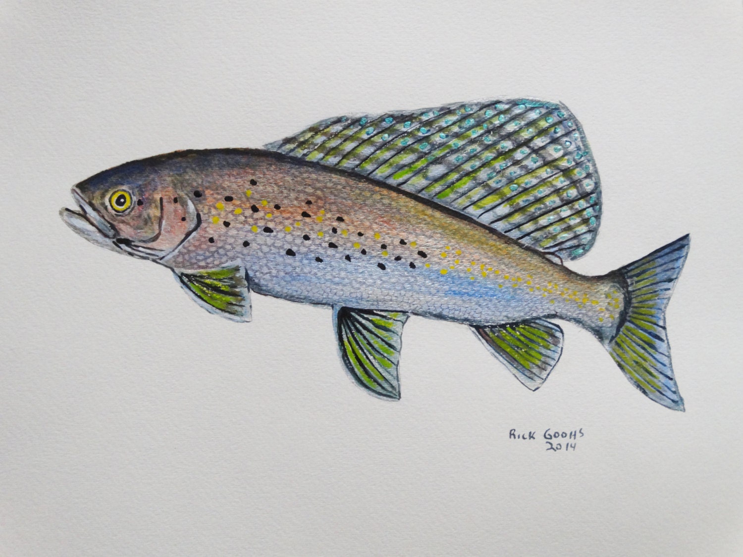 Arctic Grayling original painting fish watercolor fish