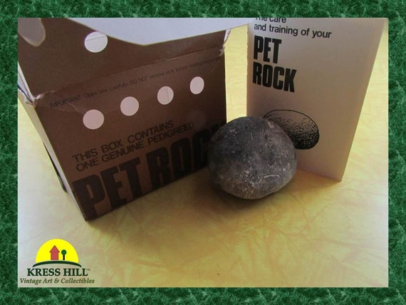 Pet Rock With Complete Instructions The Care And