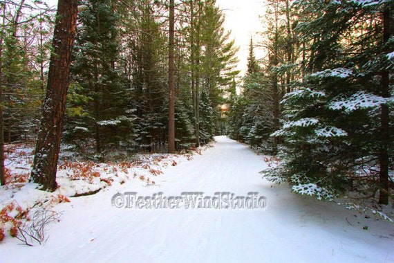 Northern Michigan Landscape Photography by FeatherWindStudio