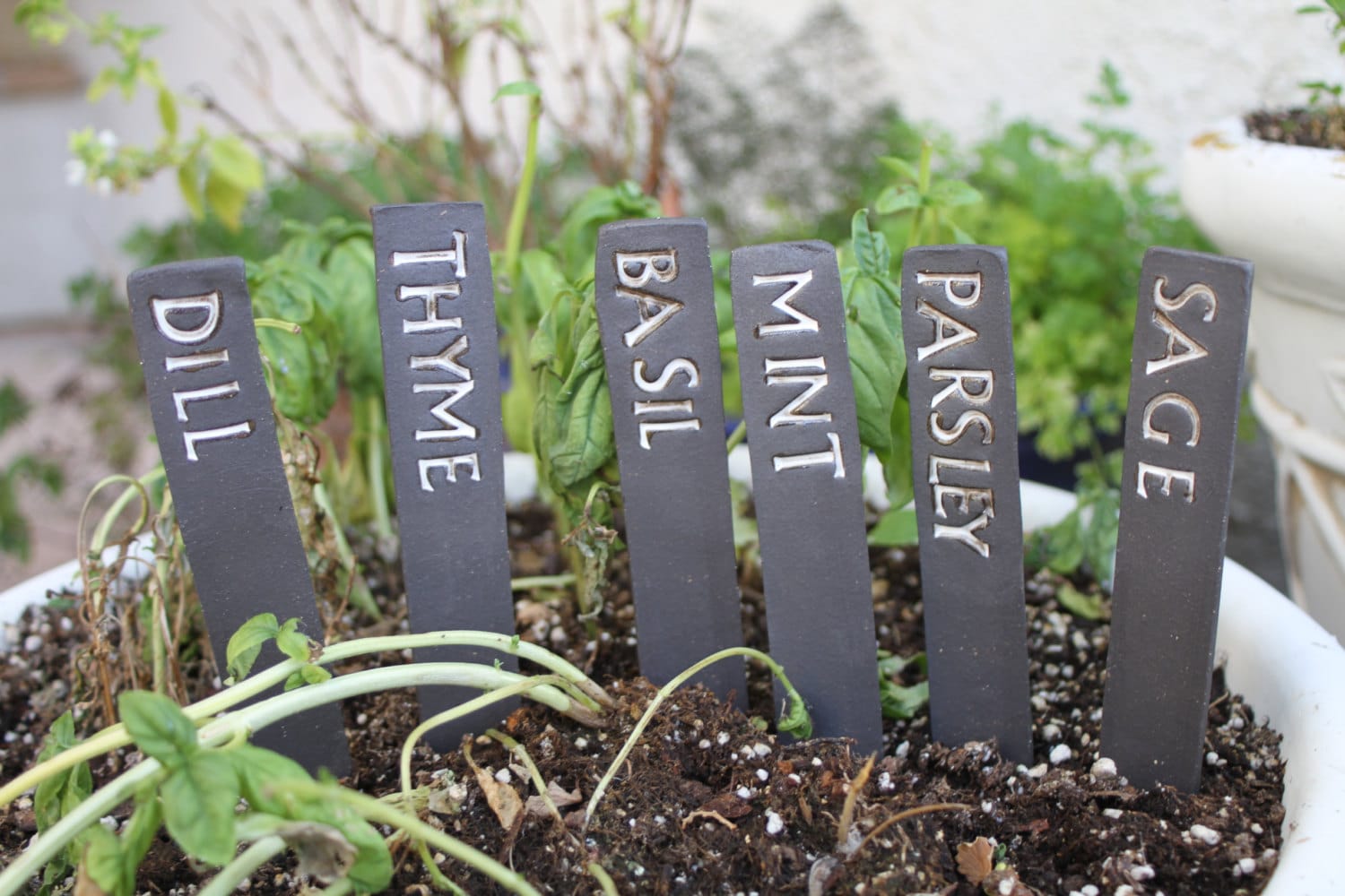 Plant labels for gardens