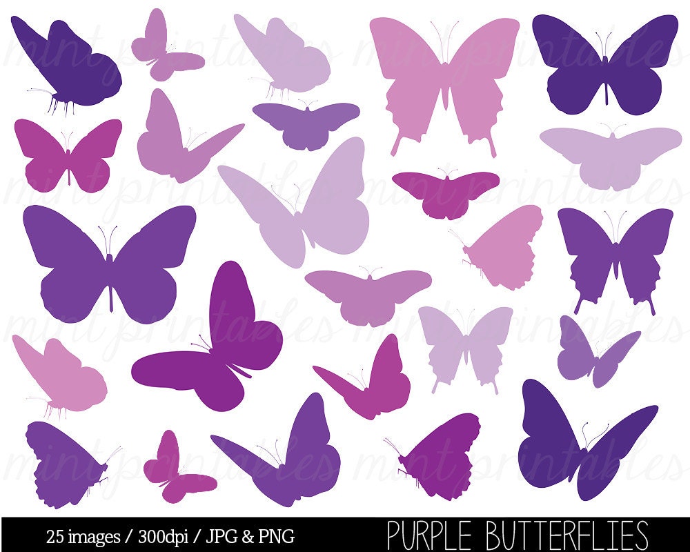 baby shower butterfly clipart - photo #20