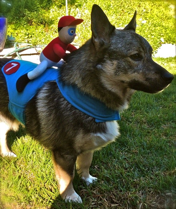 Super Cute Dog Costume. Unhappy Horse Jockey with blue and red