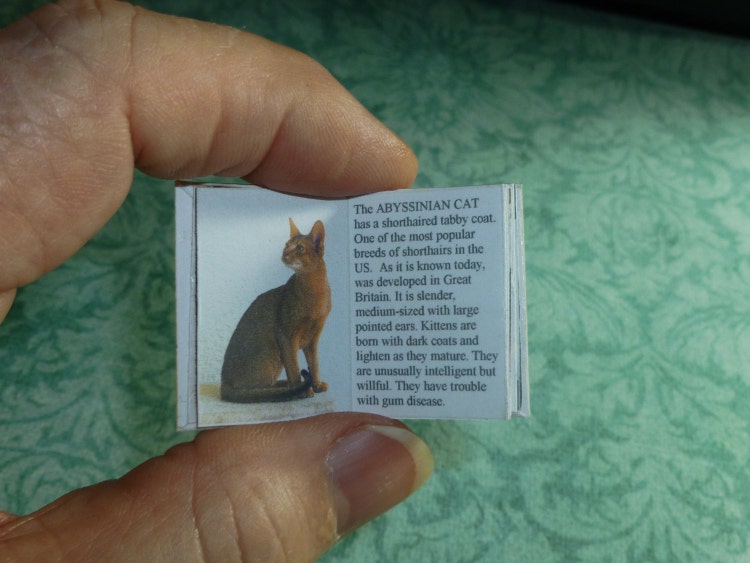 BOOK of CATS Coffee Table Dollhouse by MiniatureBookstore on Etsy