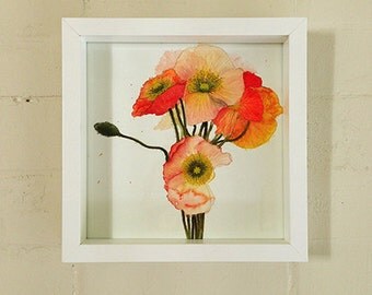 Poppies, original watercolour painting, 9" x 9" (23cm sq), on Fabriano paper