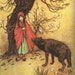 Custom Big Bad Wolf Costume (final payment)