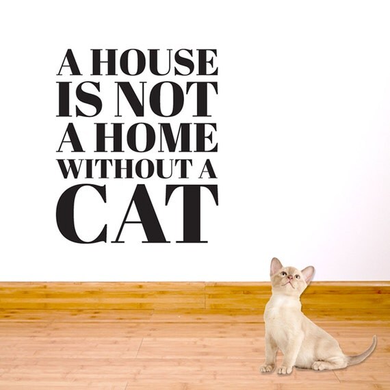 Albums 93+ Pictures a house is not a home without a cat Full HD, 2k, 4k