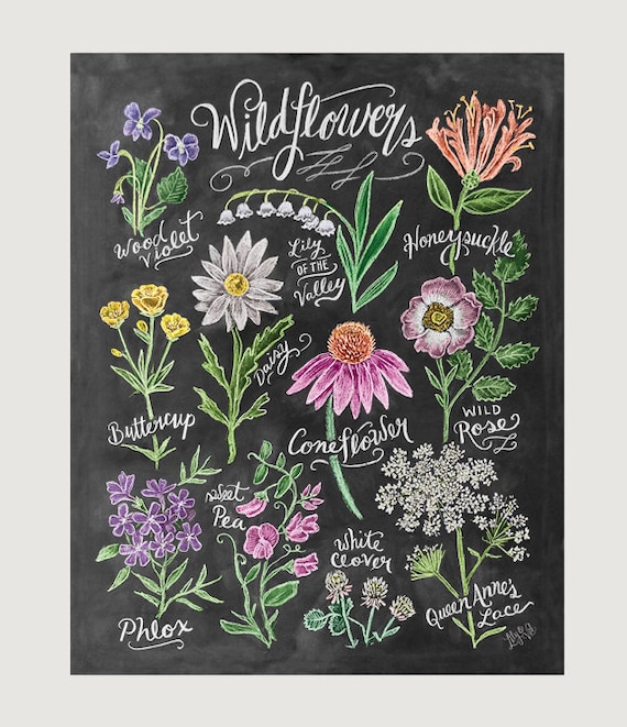 Items similar to Chalk Art Floral Art Wildflower Field Guide Print