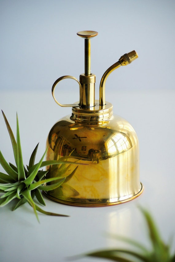Authentic Brass Plant Mister FREE air plant by theZenSucculent
