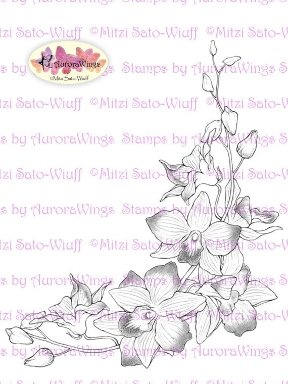 Digital Stamp - Instant Download - Orchid Corner - Elegantly Arranged Floral Corner - Floral Line Art for Cards & Crafts by Mitzi Sato-Wiuff