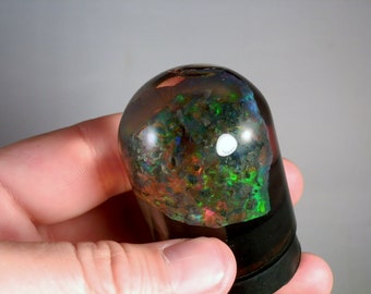 Virgin Valley Opal Black Opal Limb Cast Display Specimen in glass dome 115.7ct High quality Amazing color play DanPickedMinerals