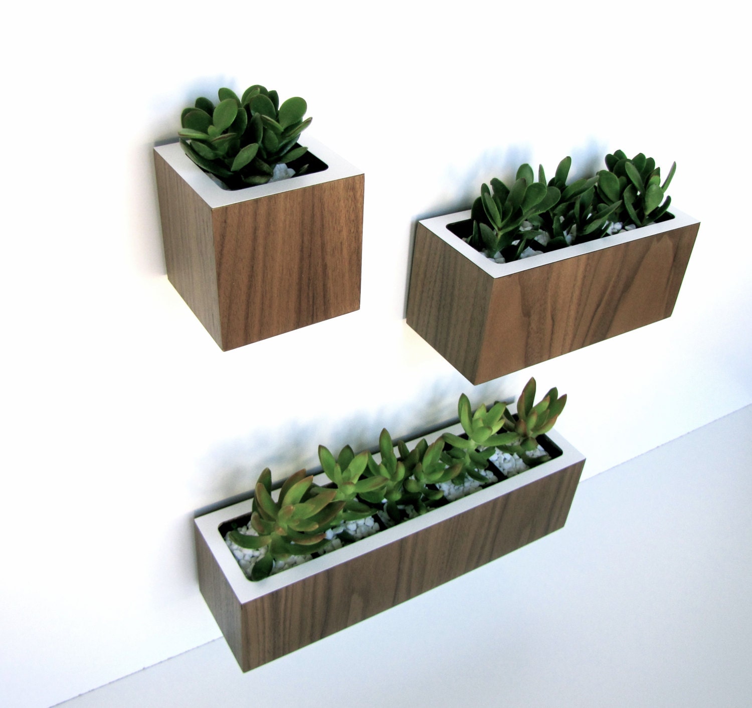 Set of 3 Planters Desktop OR Wall Hanging by thewoodybeckers