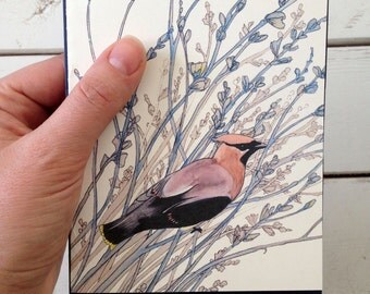 waxwing