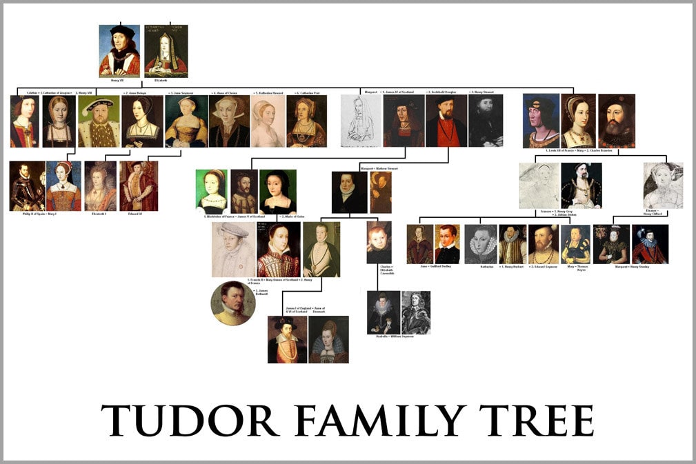 24x36 Poster Tudor Family Tree Tudor