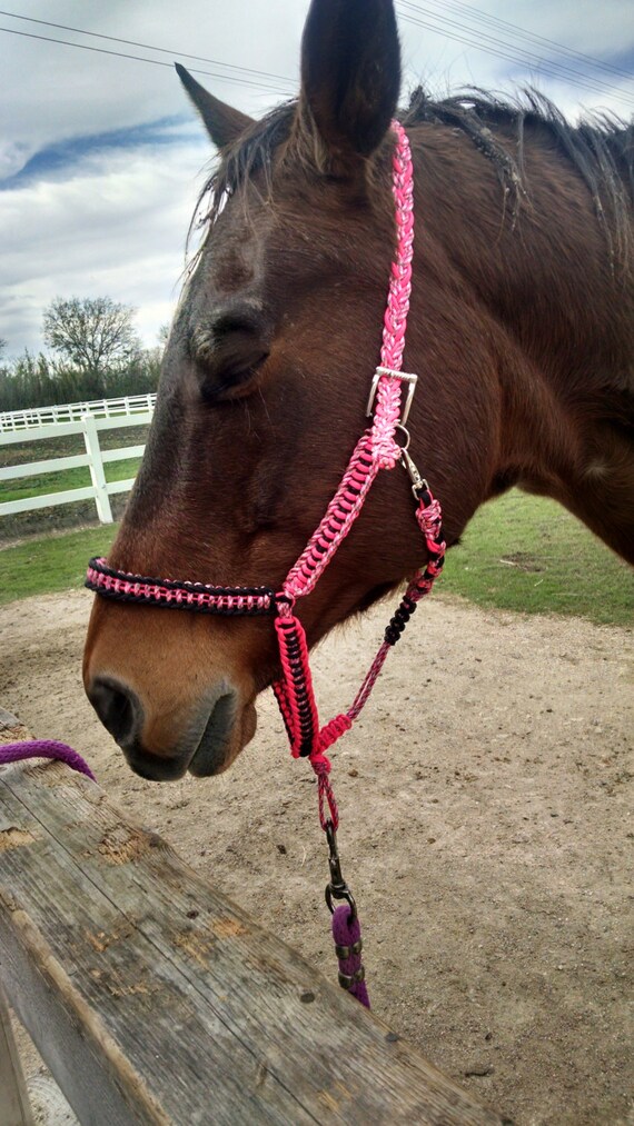 Horse Tack Paracord Halter Large horse by GypsysEquinePARATack