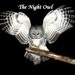 Katythenightowl
