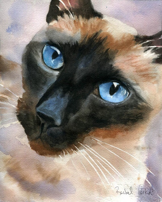 Siamese cat Art Print of a watercolor painting Big Large Huge