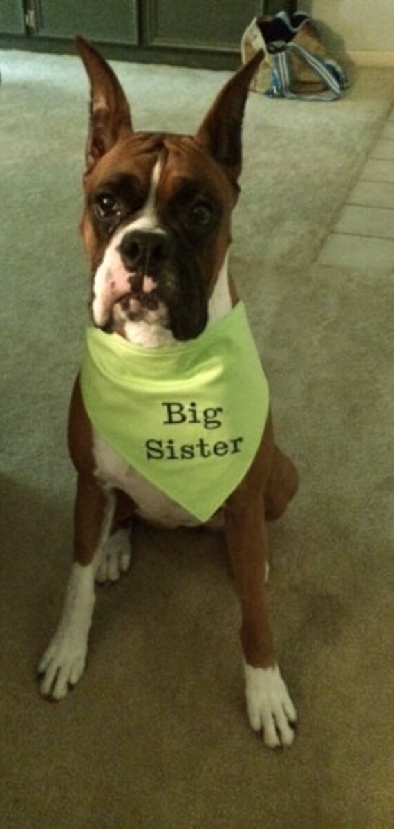 Big SISTER Dog Bandana Sizes XS To XL Choice Of Fabric In Tie