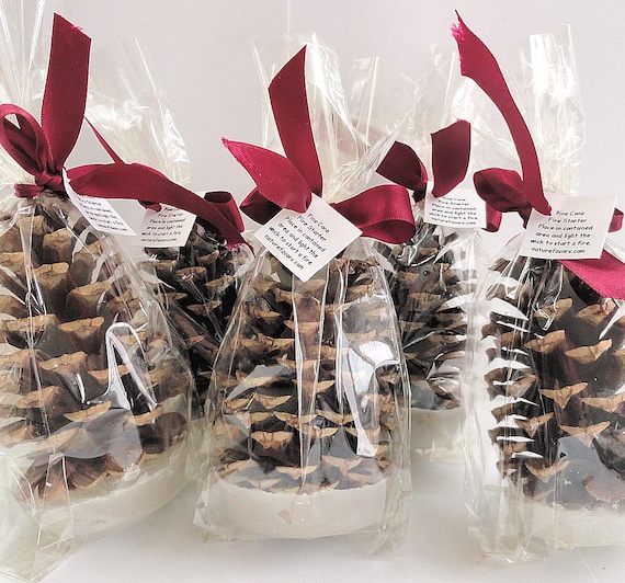 25 Pine Cone Fire Starter Christmas Party Favors Holiday