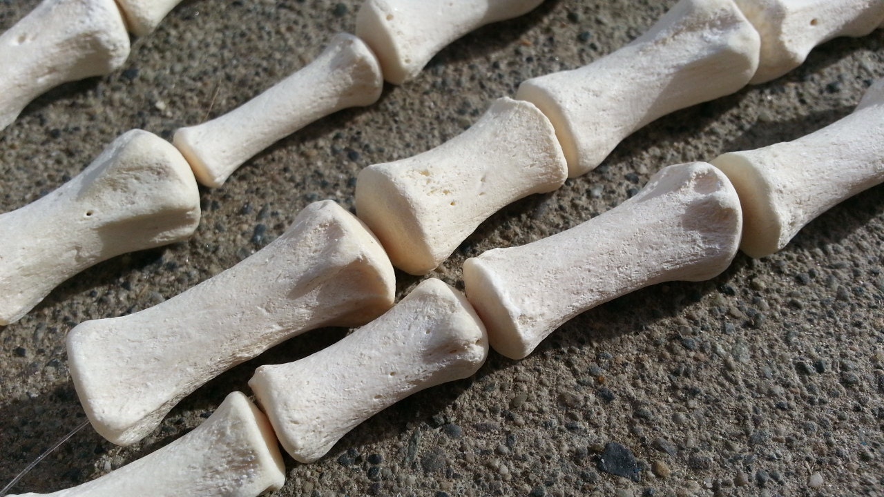 10 Horse Tail Bones Assorted Real Bone Beads Stock by Furries