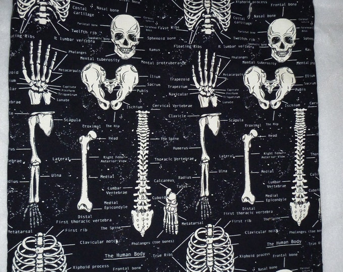 Skeletons Glow In The Dark Anatomy: Backpack/tote