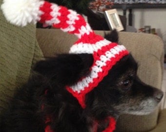 Wheres's Waldo Dog Hat