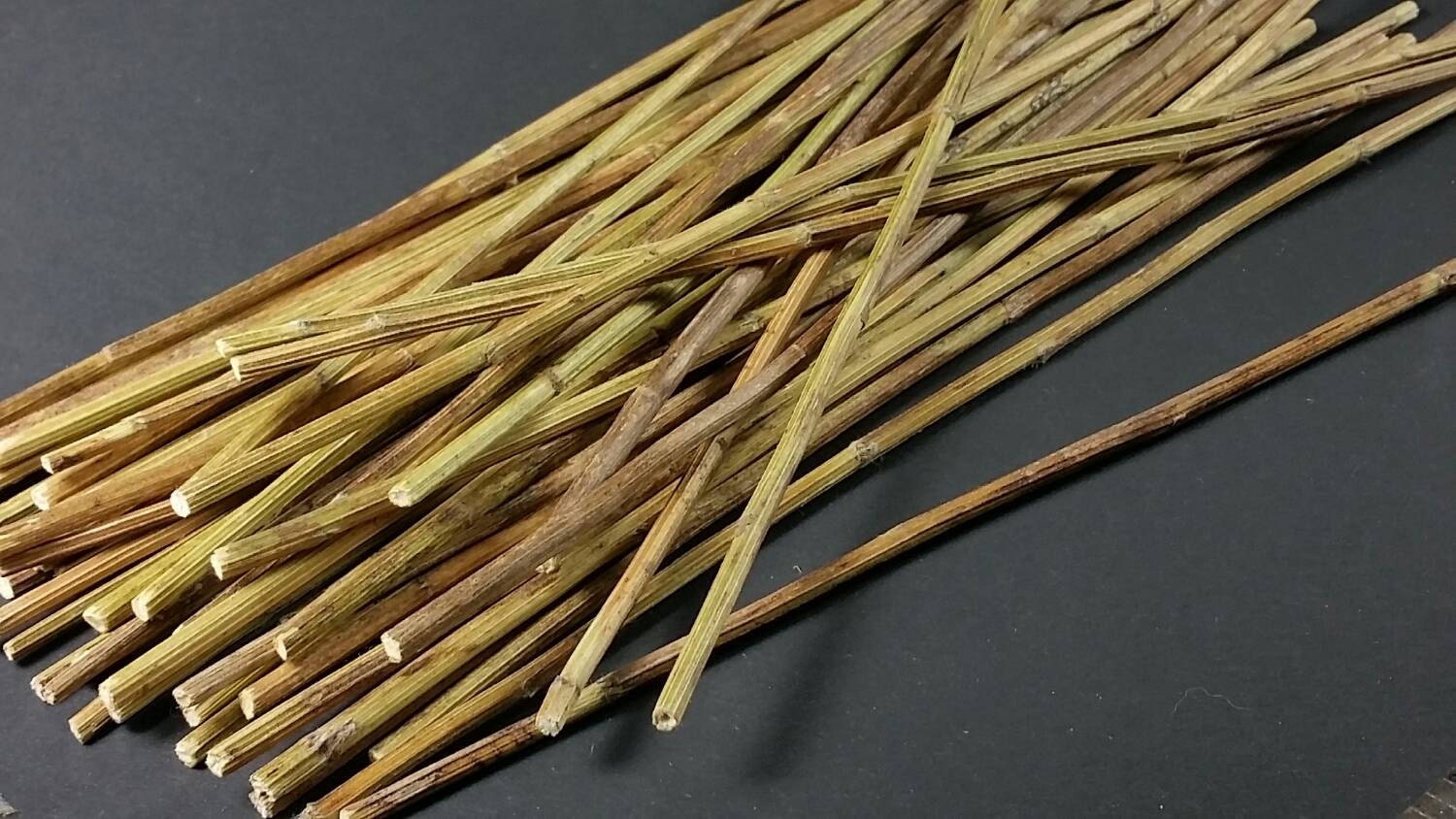 50 Yarrow Stalks for Traditional Chinese I Ching Divination
