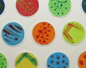 Petri Dish Spectrum 12 - original watercolor collage