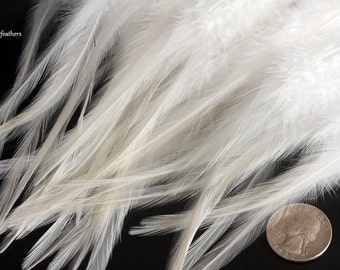 Etsy Feathers on Sale Bulk White Craft Feathers White Rooster Feathers Bulk White Feathers Wholesale Feathers for Sale, 50 PCS