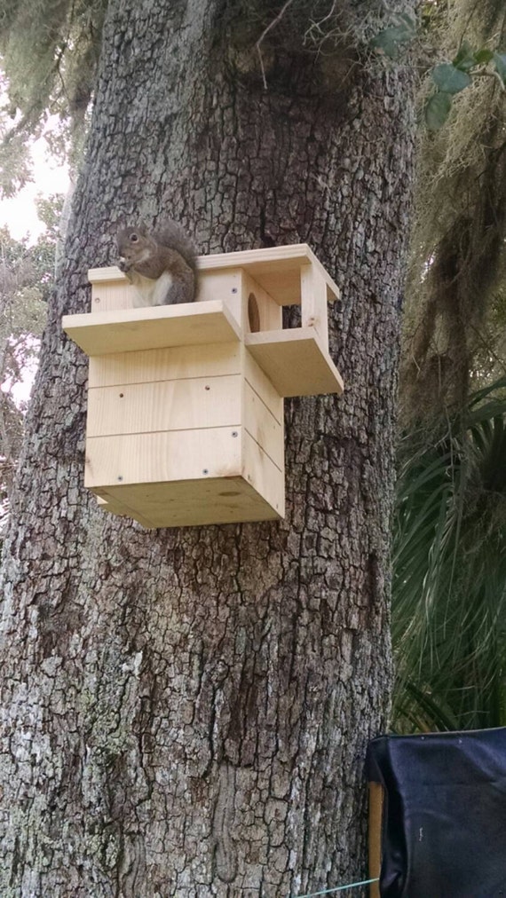 Angled Roof Squirrel Nesting Box. by NutsAboutSkwerls on Etsy