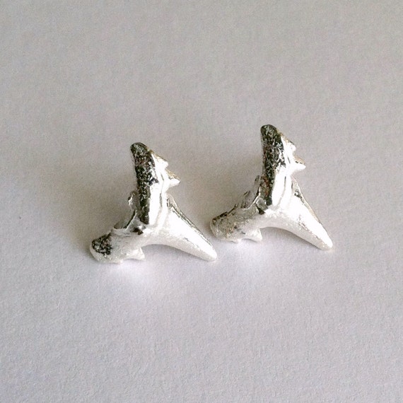 Sterling Silver Mano Shark Tooth Studs - nautical, beach jewelry ...