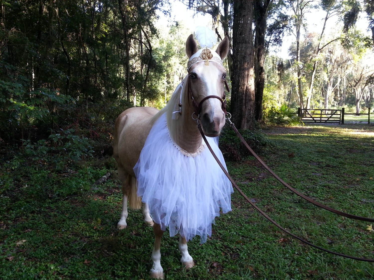 horse tutu costume