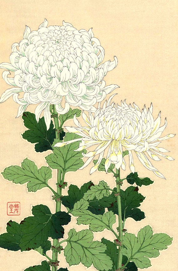 Japanese art flowers floral botanical art prints White by ArtPink