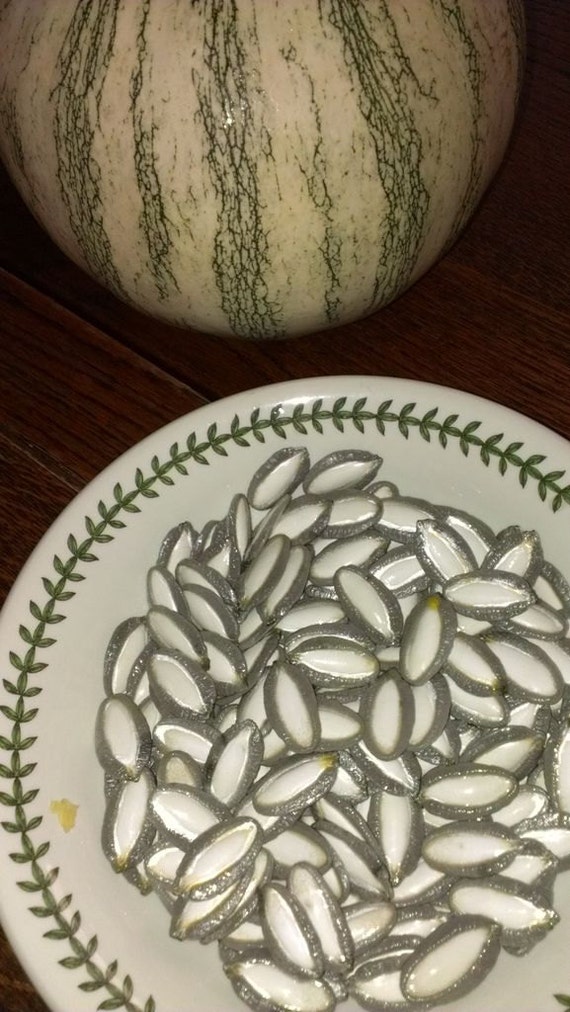 Squash "Pipian from Tuxpan"  Non-GMO Heirloom seeds