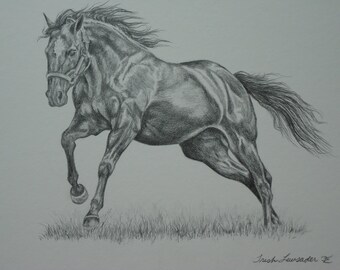 original pencil drawing of a horse running by LuckyDuckyArt
