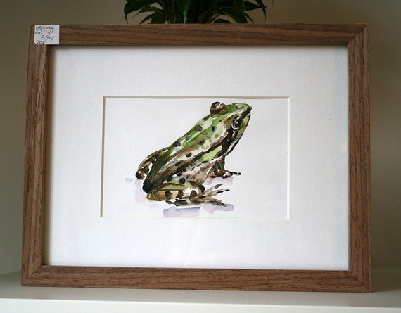 Original Frog watercolor Green Animal painting by Zendrawing