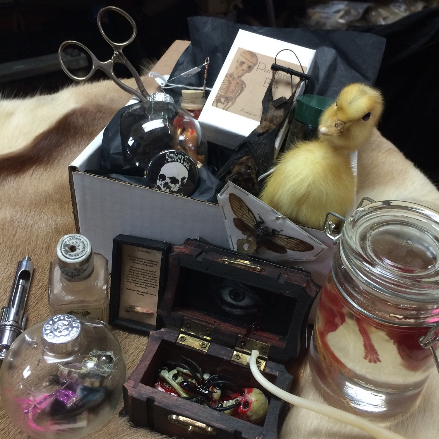 A Pandora's Box your own surprise box of oddities