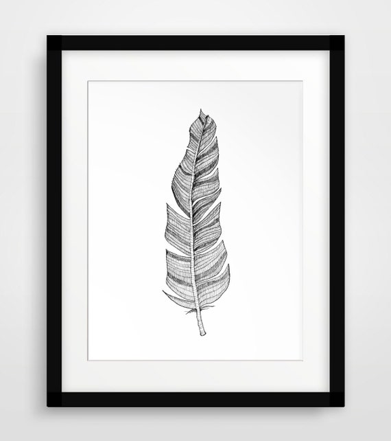 Items similar to Feather Sketch Feather Drawing Sketches 