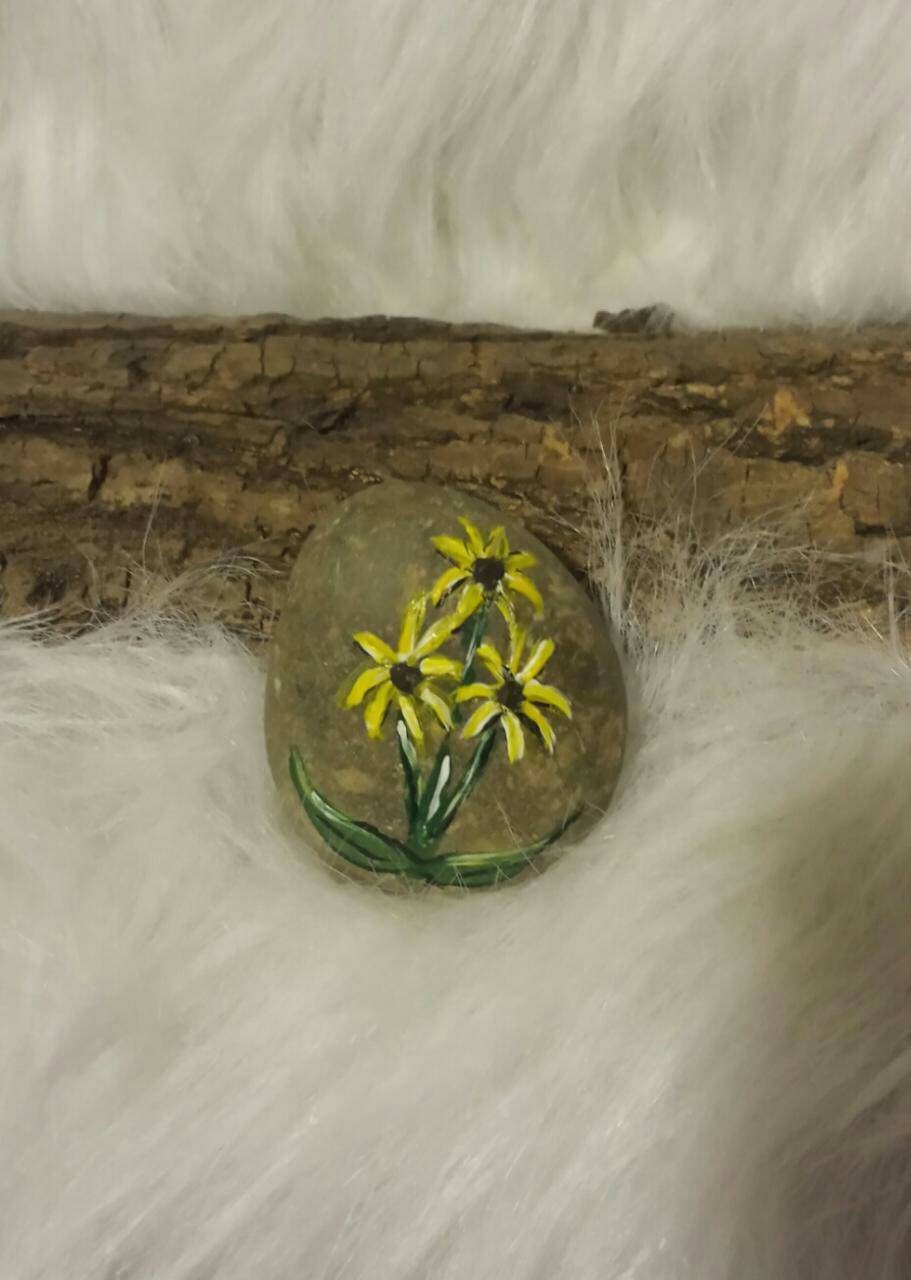Hand painted Black Eyed Susans on a river stone.