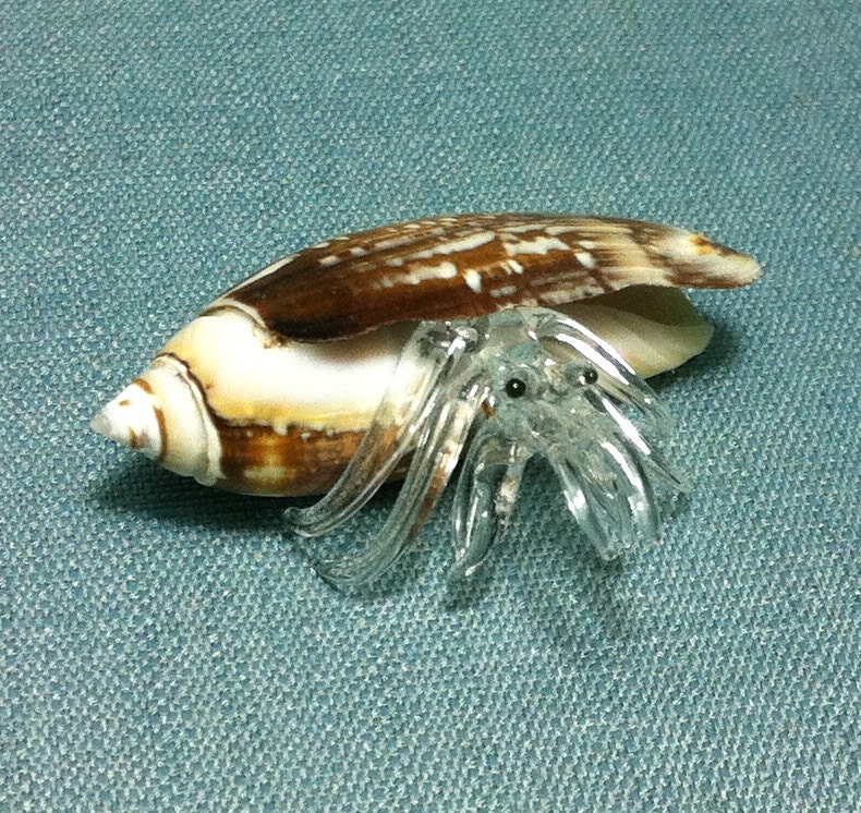 blown glass hermit crab
