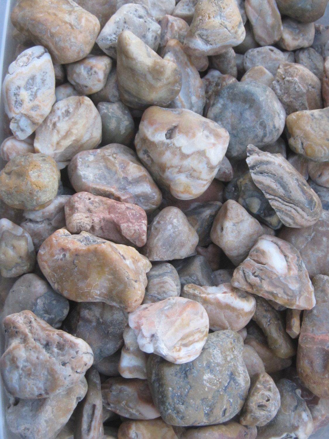 Prairie Agate Lapidary Rough, South Dakota from RocksInMyHead2 on Etsy