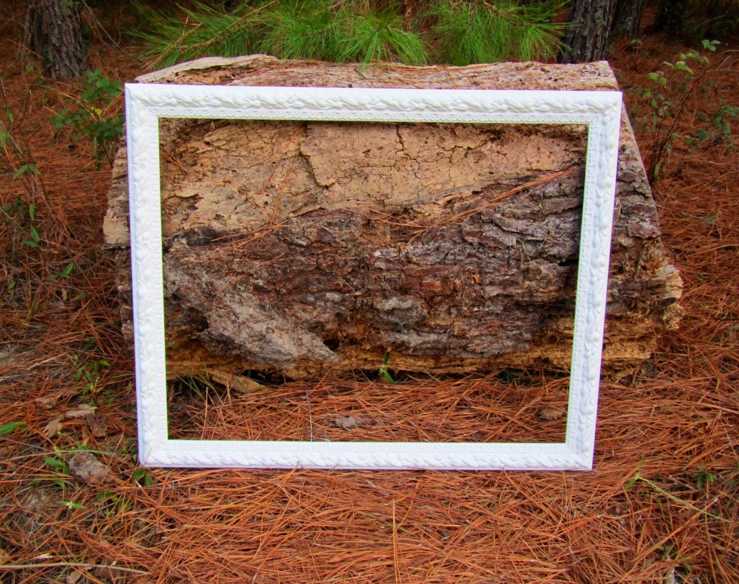 Large white wood picture frame / photo prop / wedding