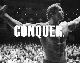 arnold schwarzenegger conquer poster arnold schwarzenegger conquer poster