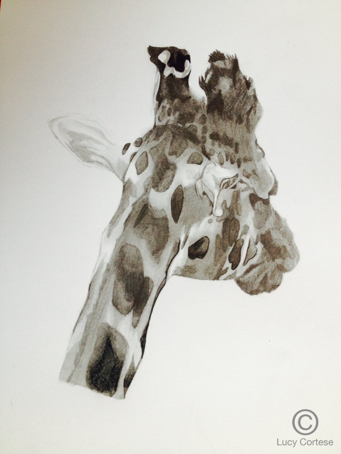 Print of Pencil Drawing of Giraffe I by ArtworkbyLucy on Etsy